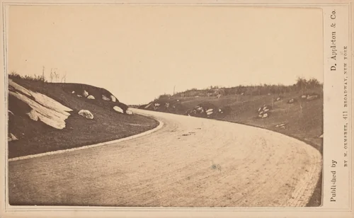 Central Park by Marcus Ormsbee, photograph, 1855-1865