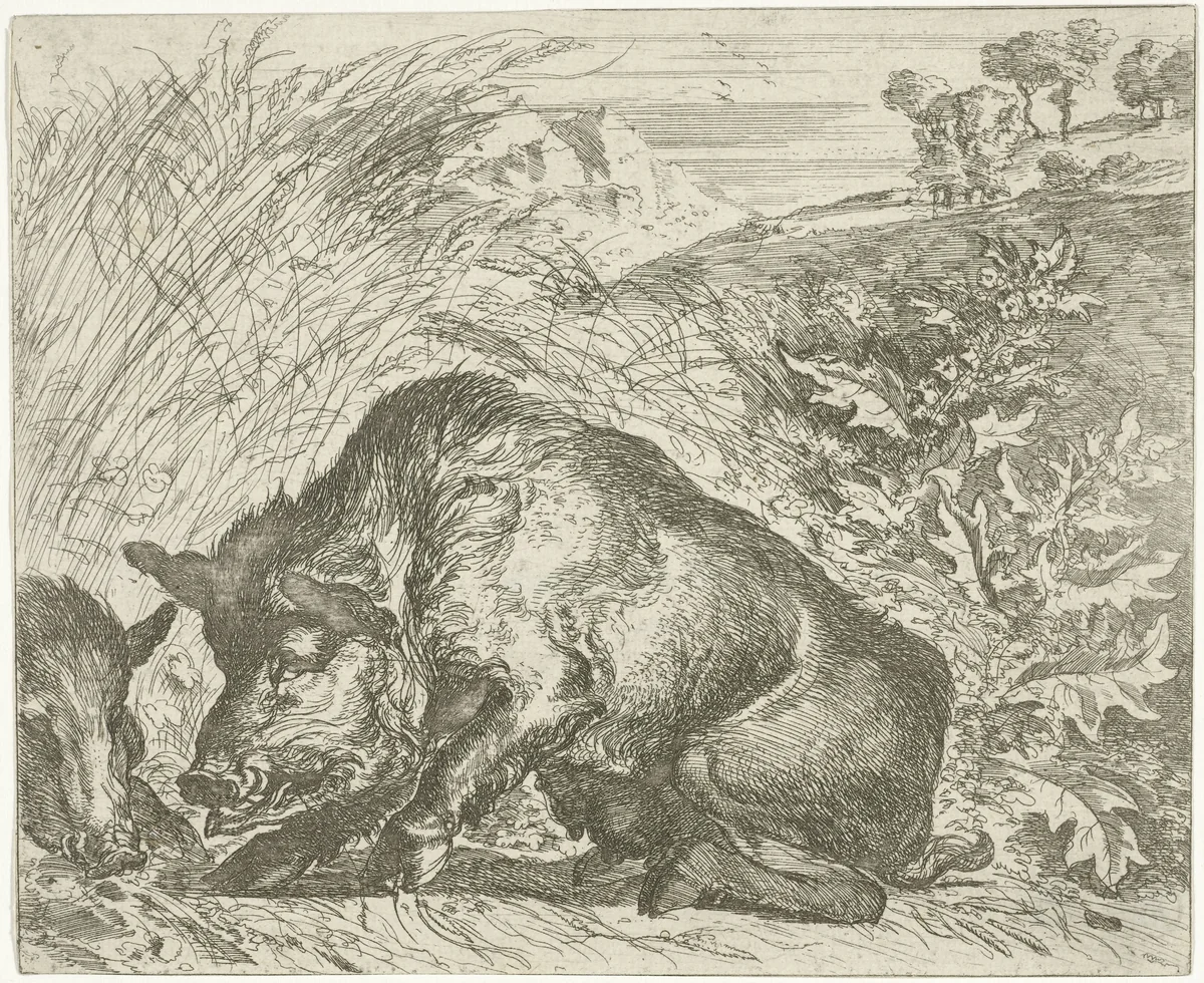 Wild zwijn by Abraham Daniëlsz. Hondius, print, 1672