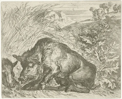 Wild zwijn by Abraham Daniëlsz. Hondius, print, 1672