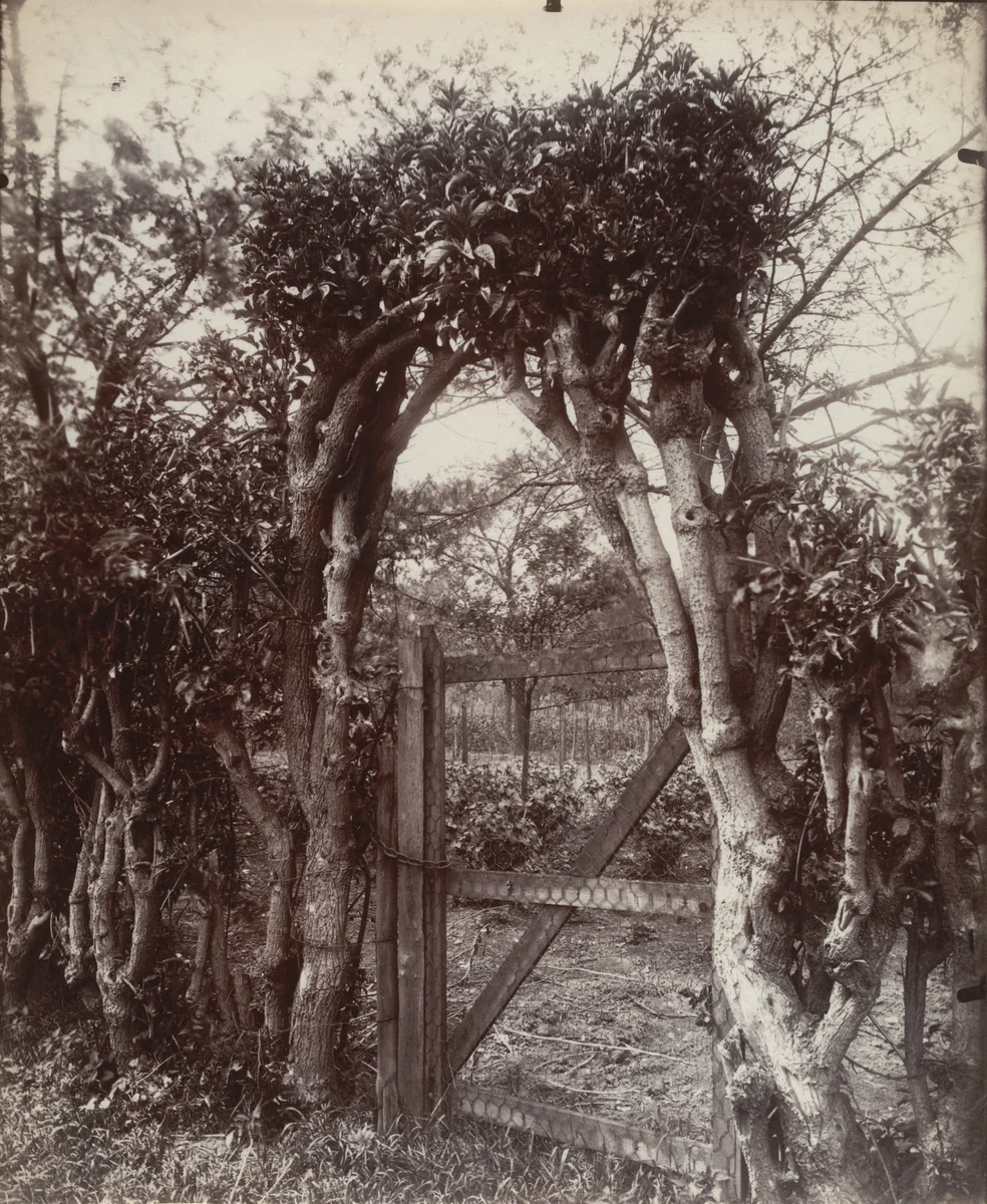 Entrée des jardins by Eugène Atget, photograph, 1921