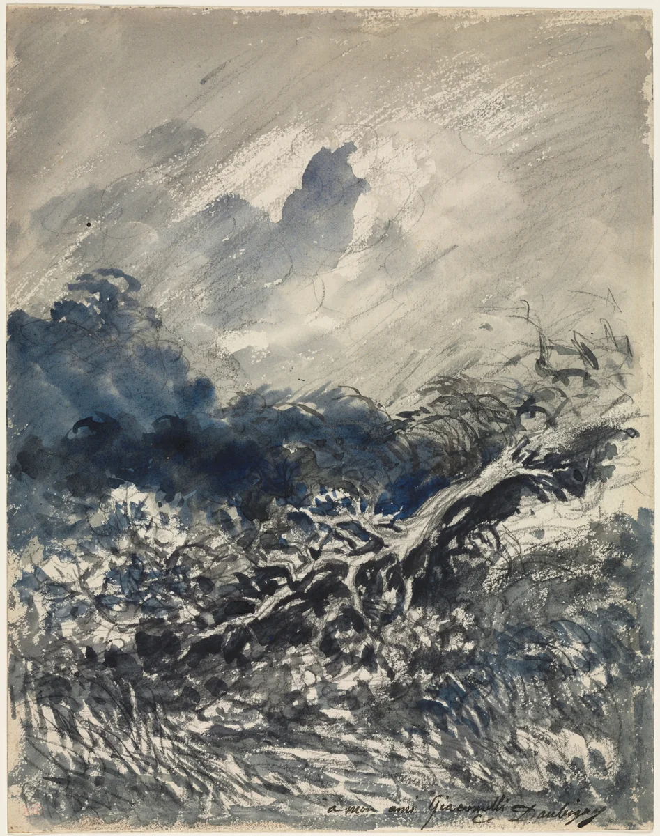 The Oak Tree and the Reed by Charles-François Daubigny, drawing, 1868-1878