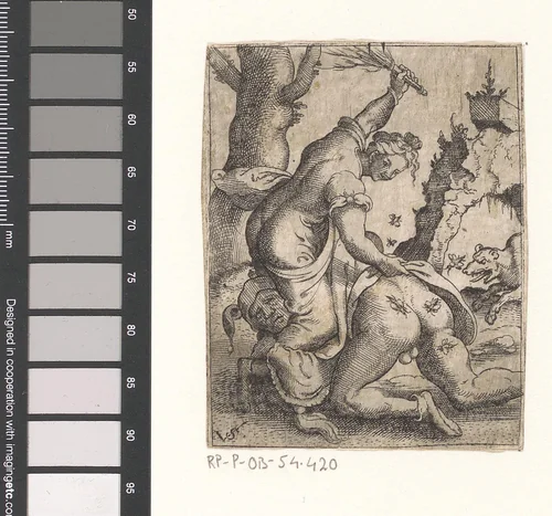Nar geslagen door een vrouw met een takkenbos by Unknown, print, 1524-1562
