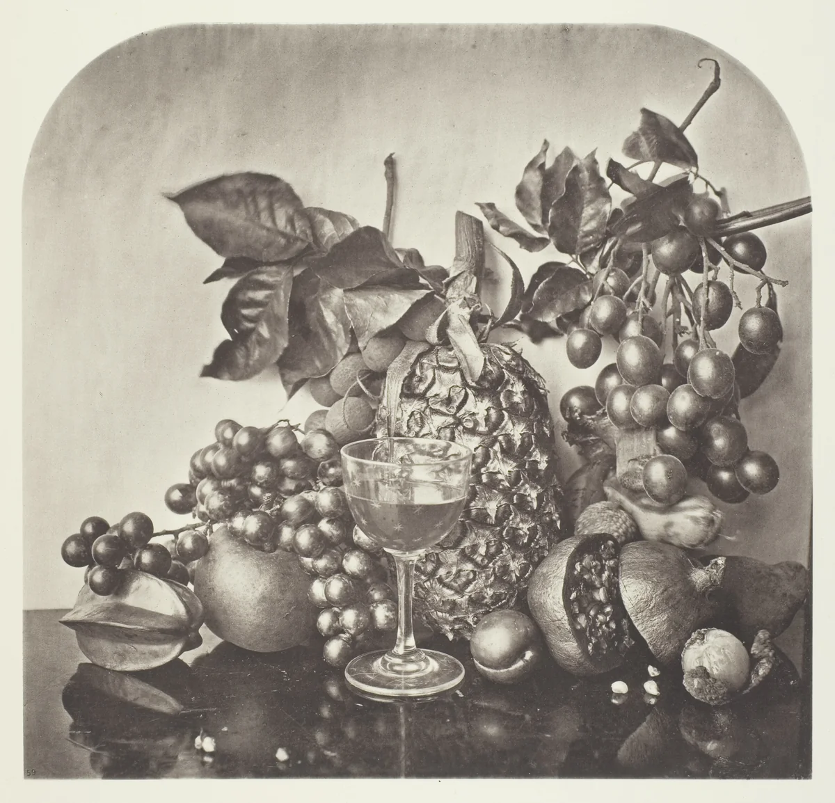 Fruit by John Thomson, photograph, 1863-1873