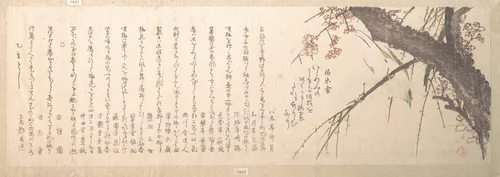 Plum Blossom by Kubo Shunman (窪俊満), print, 1815