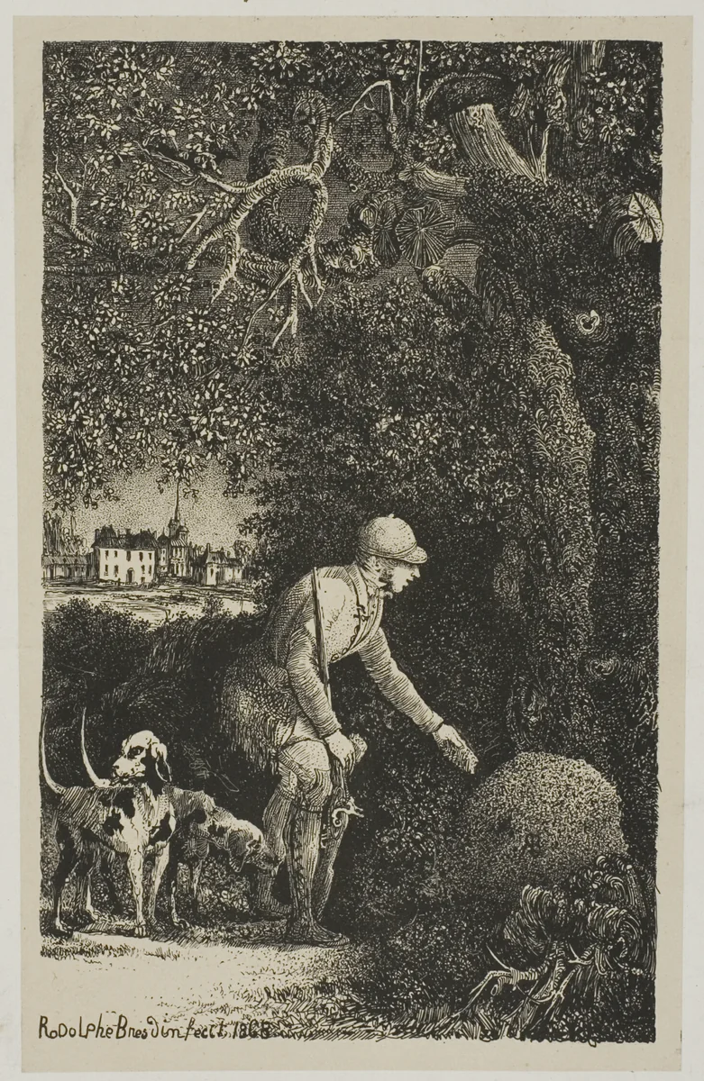 The Diplomat and the Anthill, Illustration for Fables and Tales by Hippolyte de Thierry-Faletans by Rodolphe Bresdin, print, 1868