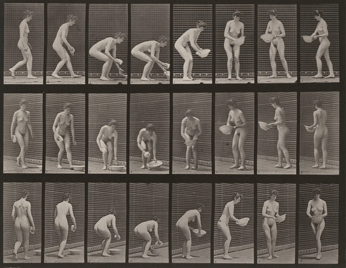 Plate Number 223. Stooping, lifting a basin, wiping it and turning by Eadweard Muybridge, photograph, 1887