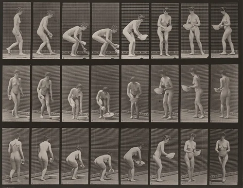 Plate Number 223. Stooping, lifting a basin, wiping it and turning by Eadweard Muybridge, photograph, 1887