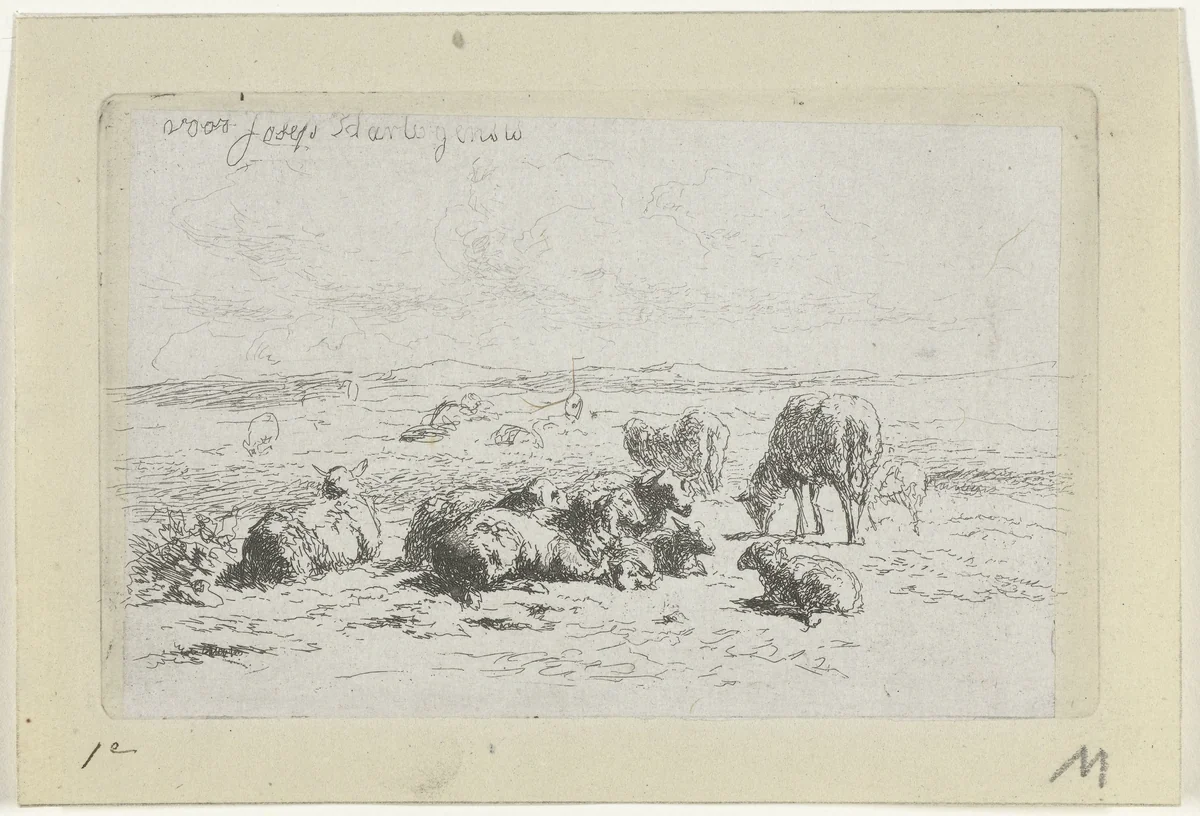 Duinlandschap met schapen by Simon van den Berg, print, 1822-1899