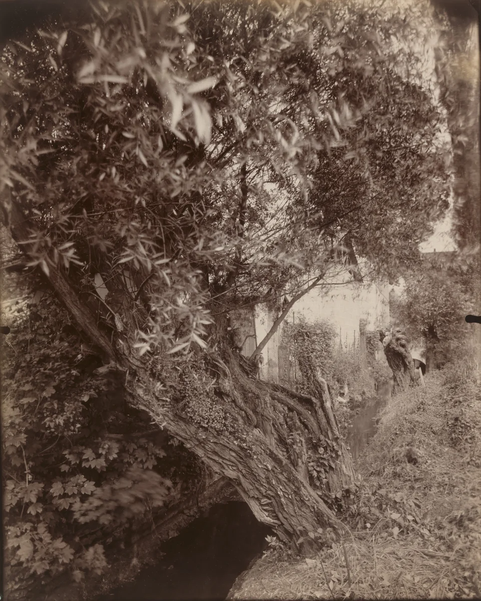 Saules by Eugène Atget, photograph, 1925