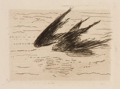Swallows, plate 8 from Le Fleuve by Édouard Manet, print, 1874