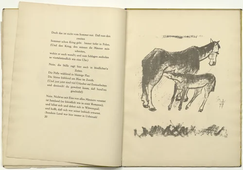 Untitled (plate, facing page 20) from Die Samländische Ode (The Samland Ode) by Max Pechstein, illustrated book, 1918