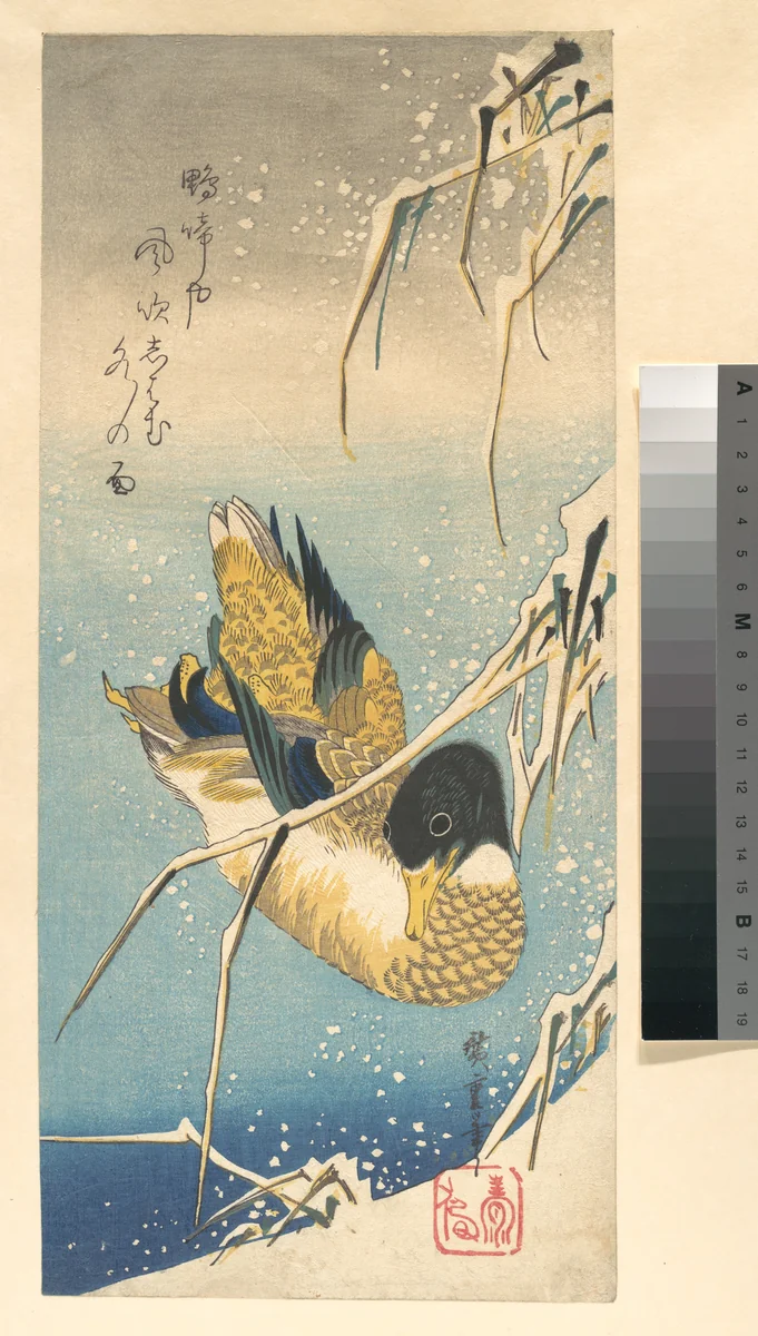 Mallard Duck and Snow-covered Reeds by Utagawa Hiroshige (歌川広重), print, 1822-1842