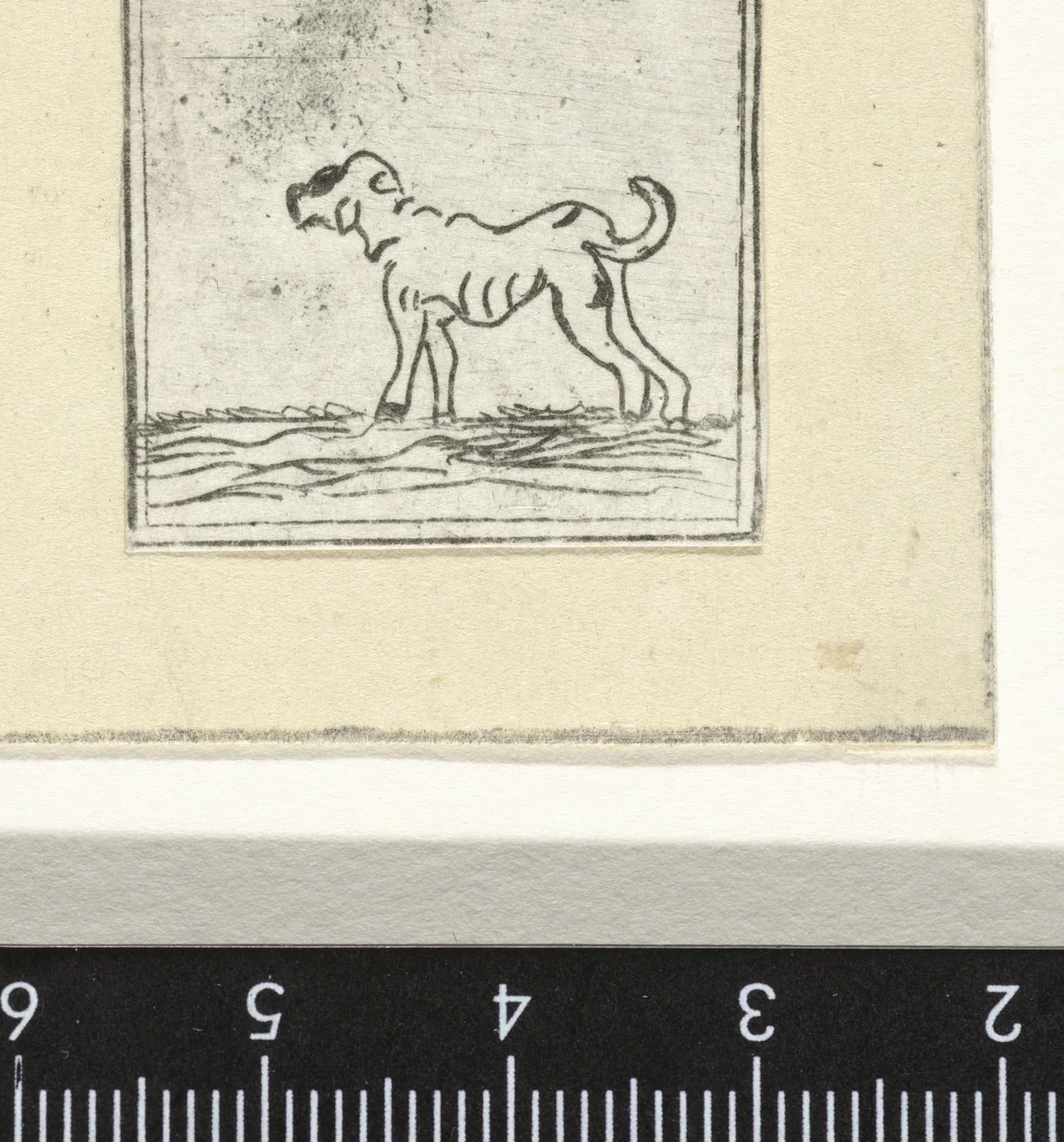 Hond by Jacob Hoolaart, print, 1728-1789