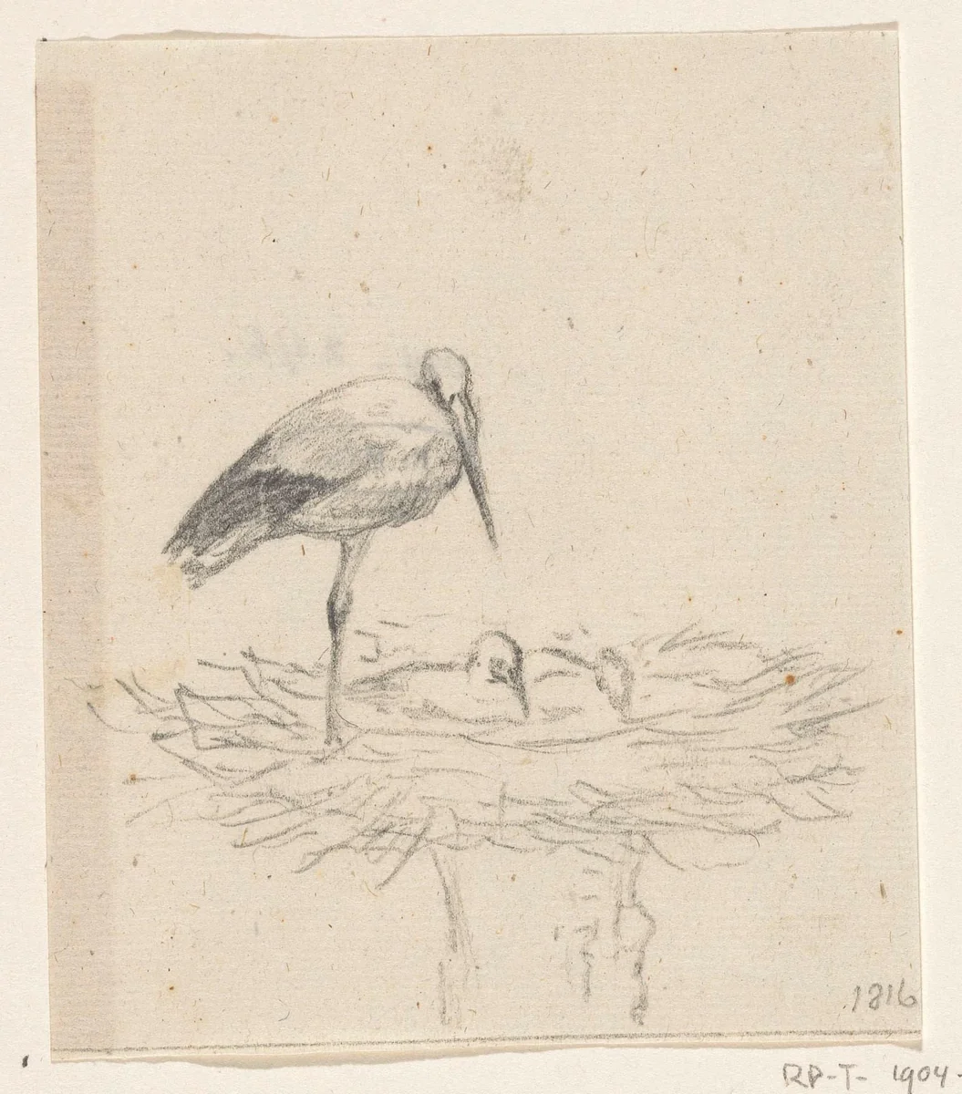 Ooievaar op nest by Jean Bernard, drawing, 1816