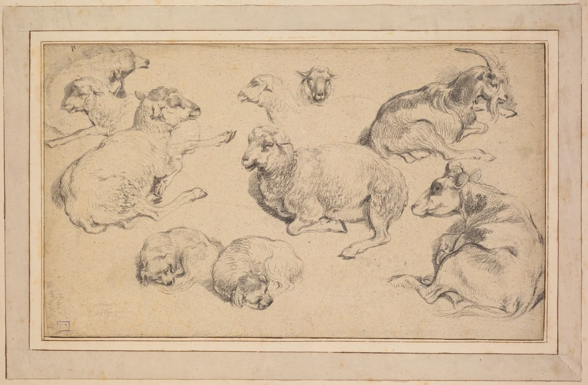 Sheet of Studies with Sheep, Goats, and Dogs by Jean-Baptiste Marie Hüet, drawing, 1775-1785