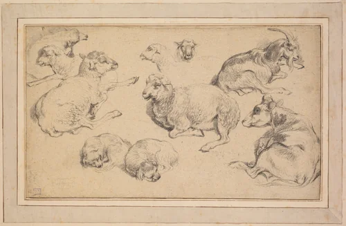 Sheet of Studies with Sheep, Goats, and Dogs by Jean-Baptiste Marie Hüet, drawing, 1775-1785
