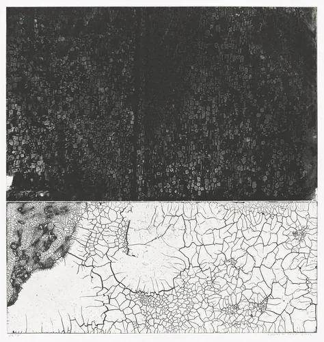 CPP6 by Leonardo Drew, print, 2015