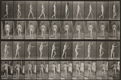 Plate Number 550. Locomotor ataxia, walking. A: Arms down. B: Arms up by Eadweard Muybridge, photograph, 1887