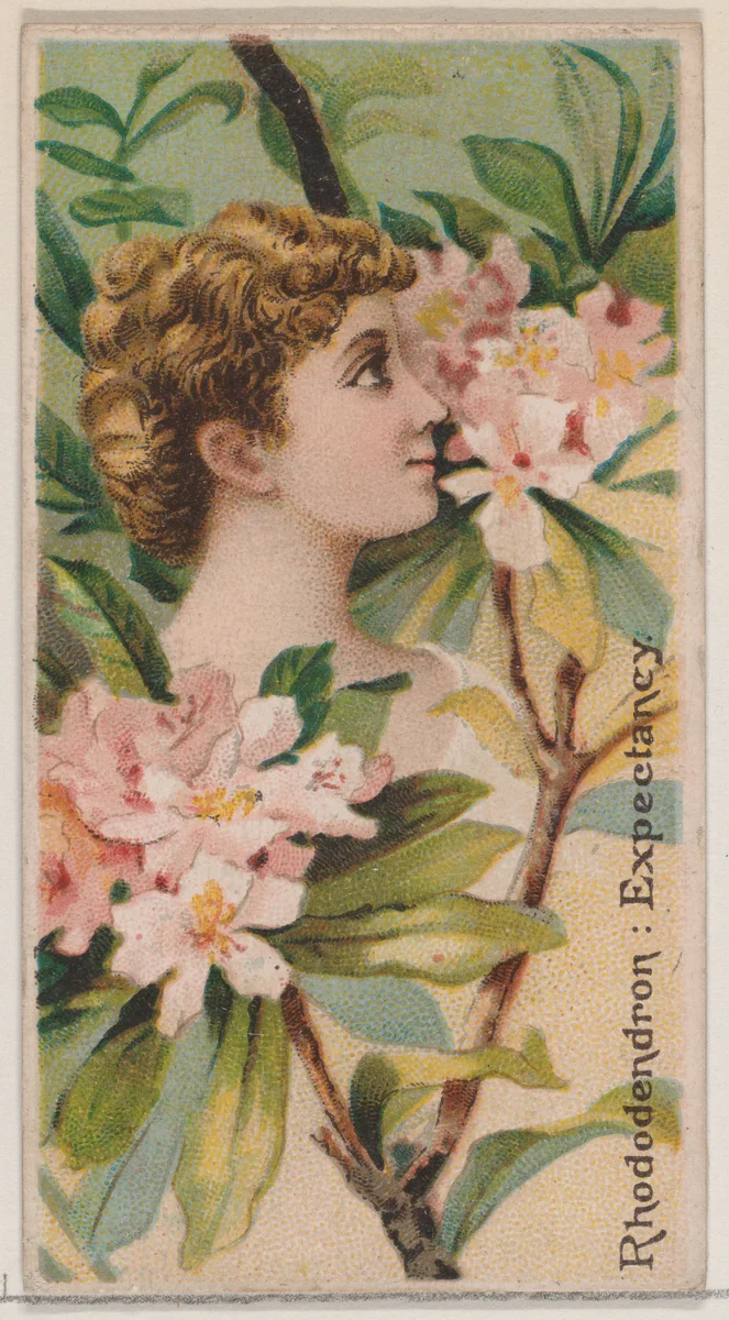 Rhododendron: Expectancy, from the series Floral Beauties and Language of Flowers (N75) for Duke brand cigarettes by American Tobacco Company, print, 1892