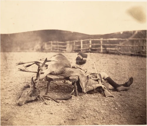 [Peel Ross with Hunting Trophies] by Horatio Ross, photograph, 1856-1859