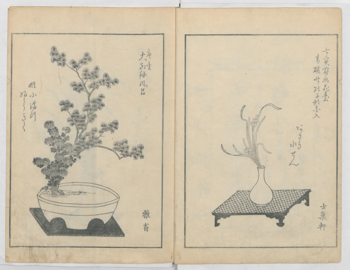 A Book on Flower Arrangement: Hare's-Foot Fern (Shinobugusa) 師廼部供作 (vol. 2); 思乃父魚砂 (vol. 3) by Yoshida Tōgetsu (吉田桃月), book, 1822