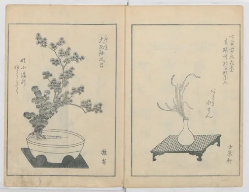 A Book on Flower Arrangement: Hare's-Foot Fern (Shinobugusa) 師廼部供作 (vol. 2); 思乃父魚砂 (vol. 3) by Yoshida Tōgetsu (吉田桃月), book, 1822