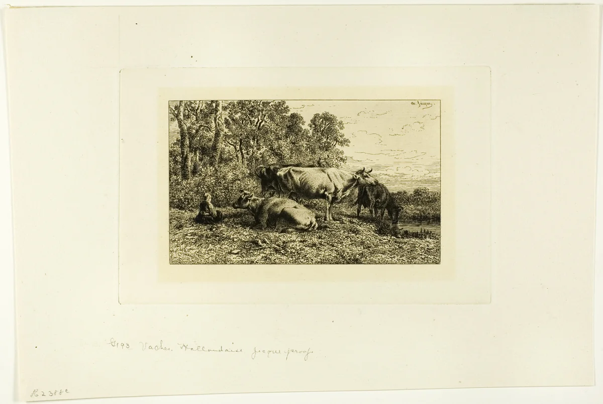 Dutch Cows by Charles-Émile Jacque, print, 1860-1870