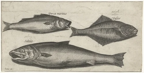 Zeebaars, tong en een zalm by Pierre Firens, print, 1600-1638
