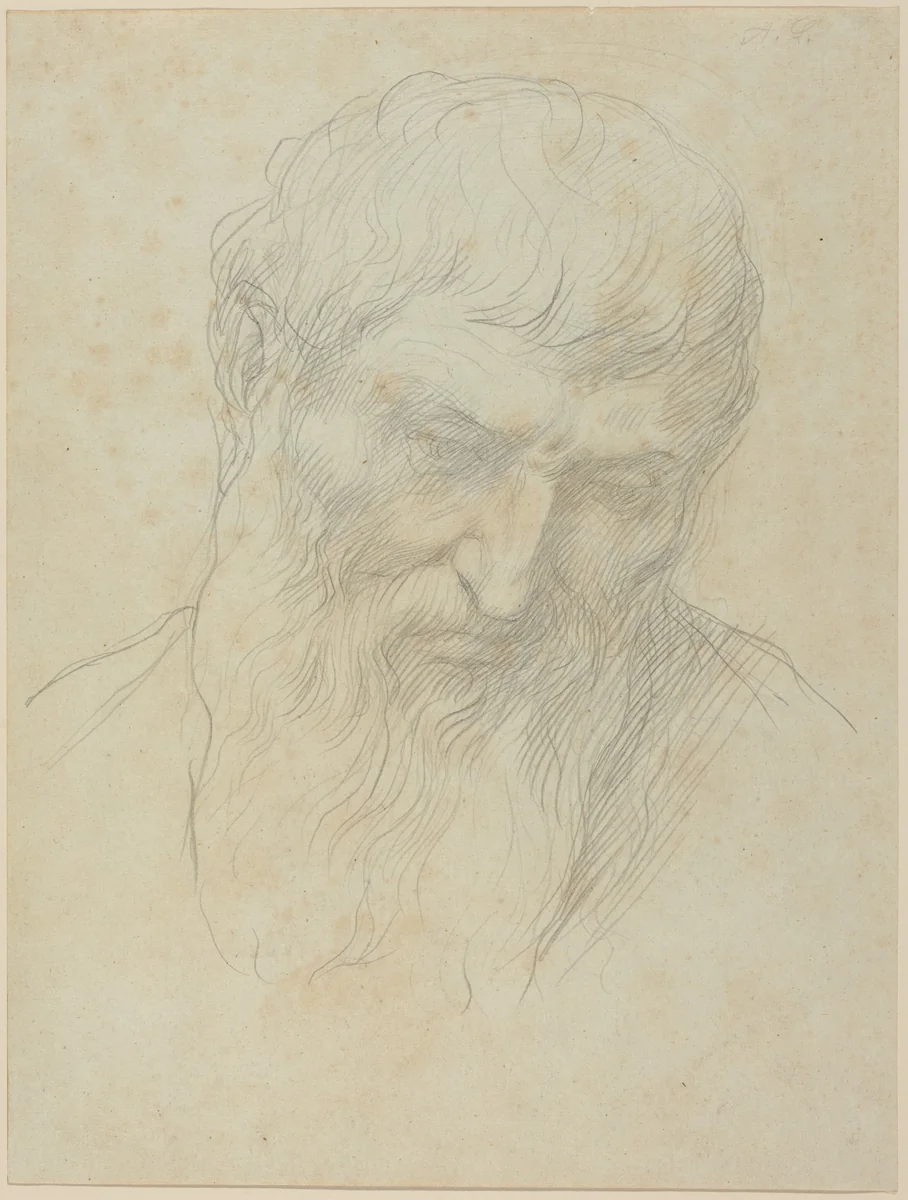 Head of a Man with Curly Hair and Beard by Alphonse Legros, drawing, 1837-1911