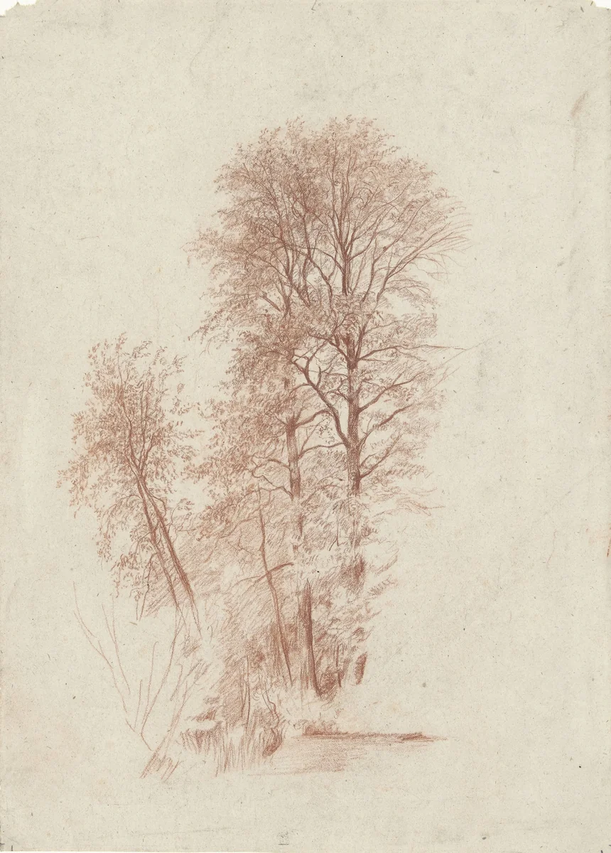 Studie van twee slanke en enige kleinere bomen in blad by Charles-François Daubigny, drawing, 1827-1878