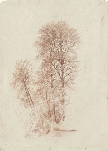 Studie van twee slanke en enige kleinere bomen in blad by Charles-François Daubigny, drawing, 1827-1878
