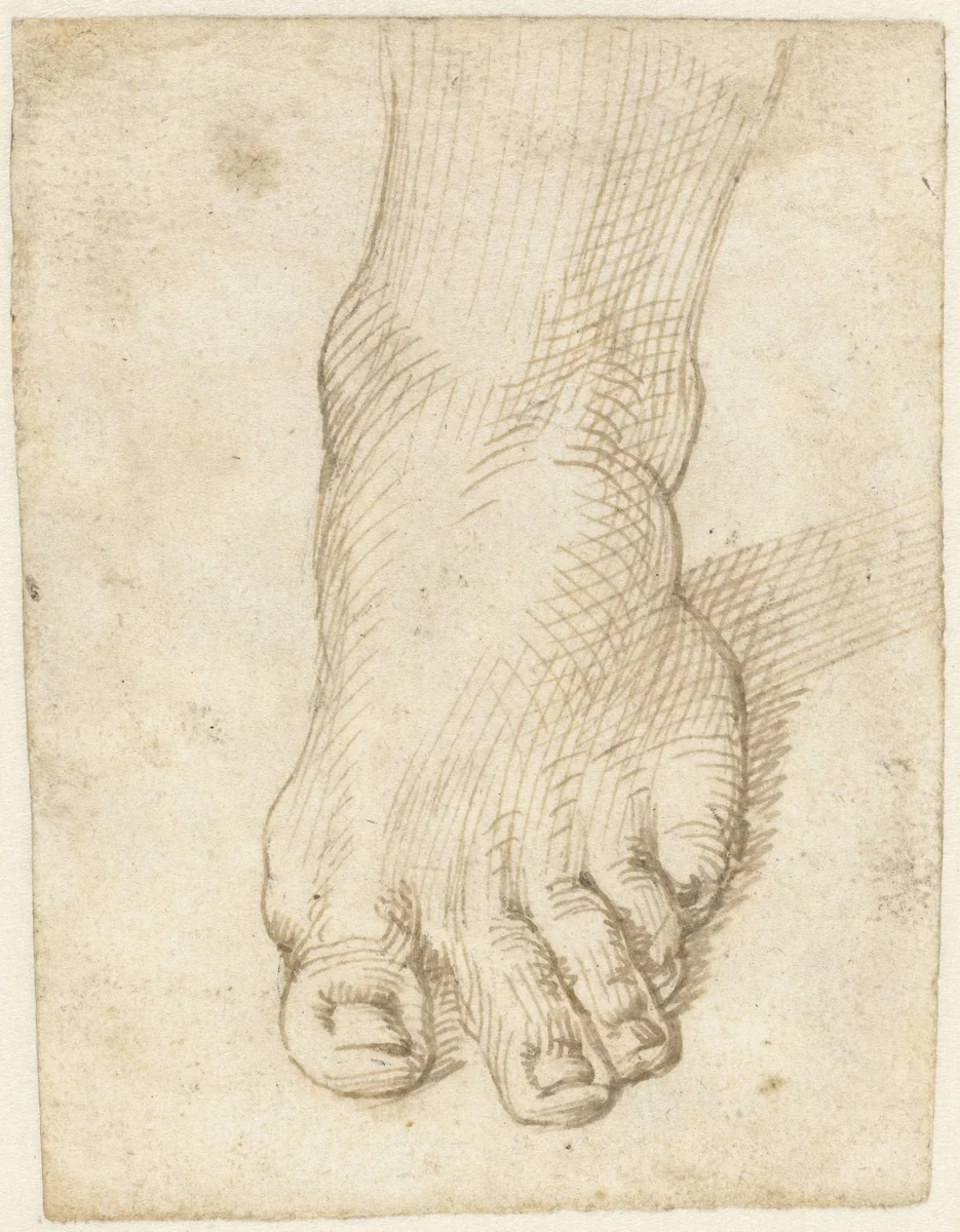 Studie van een linkervoet, van voren by Unknown, drawing, 1567-1602