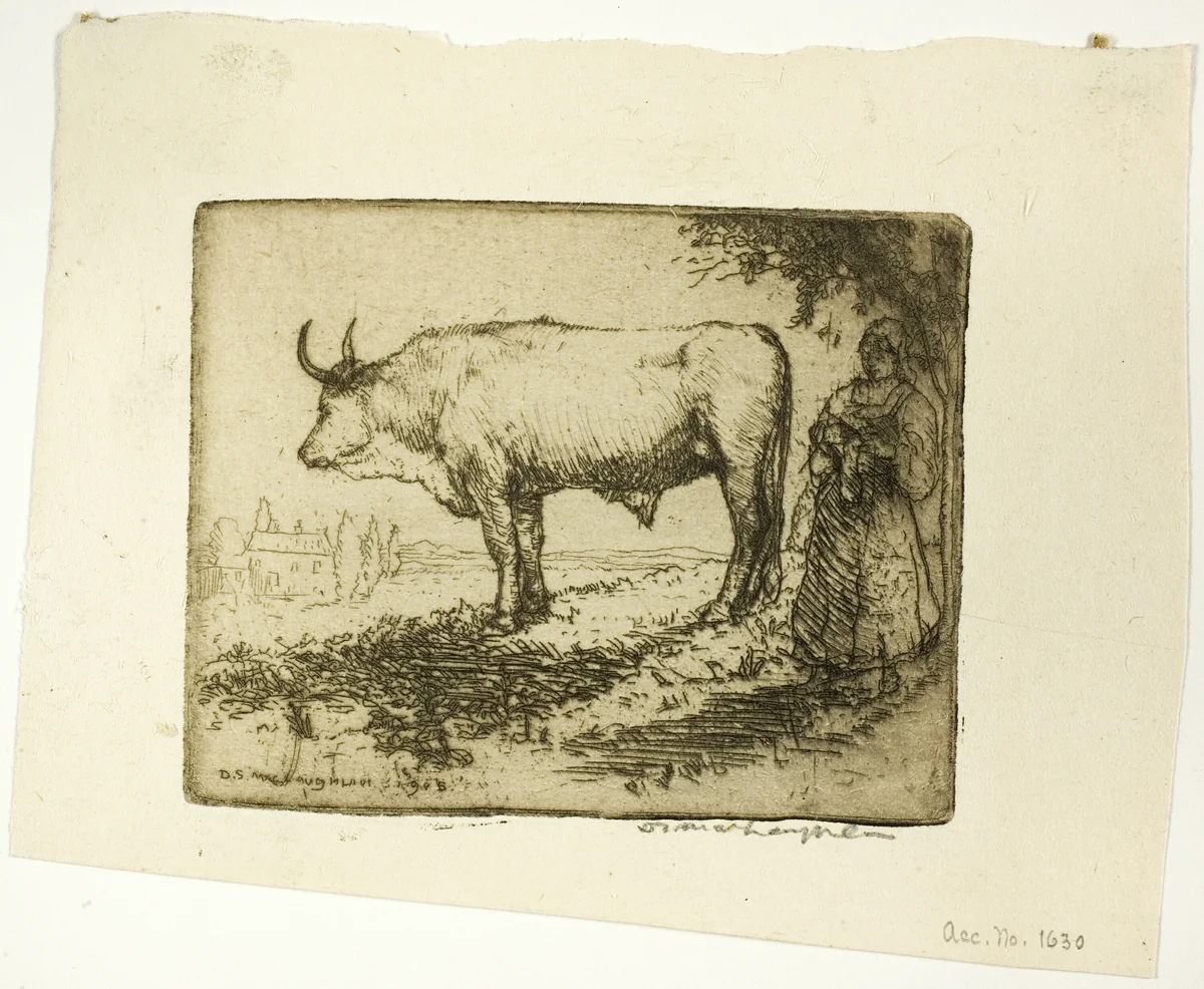 The White Ox by Donald Shaw MacLaughlan, print, 1905