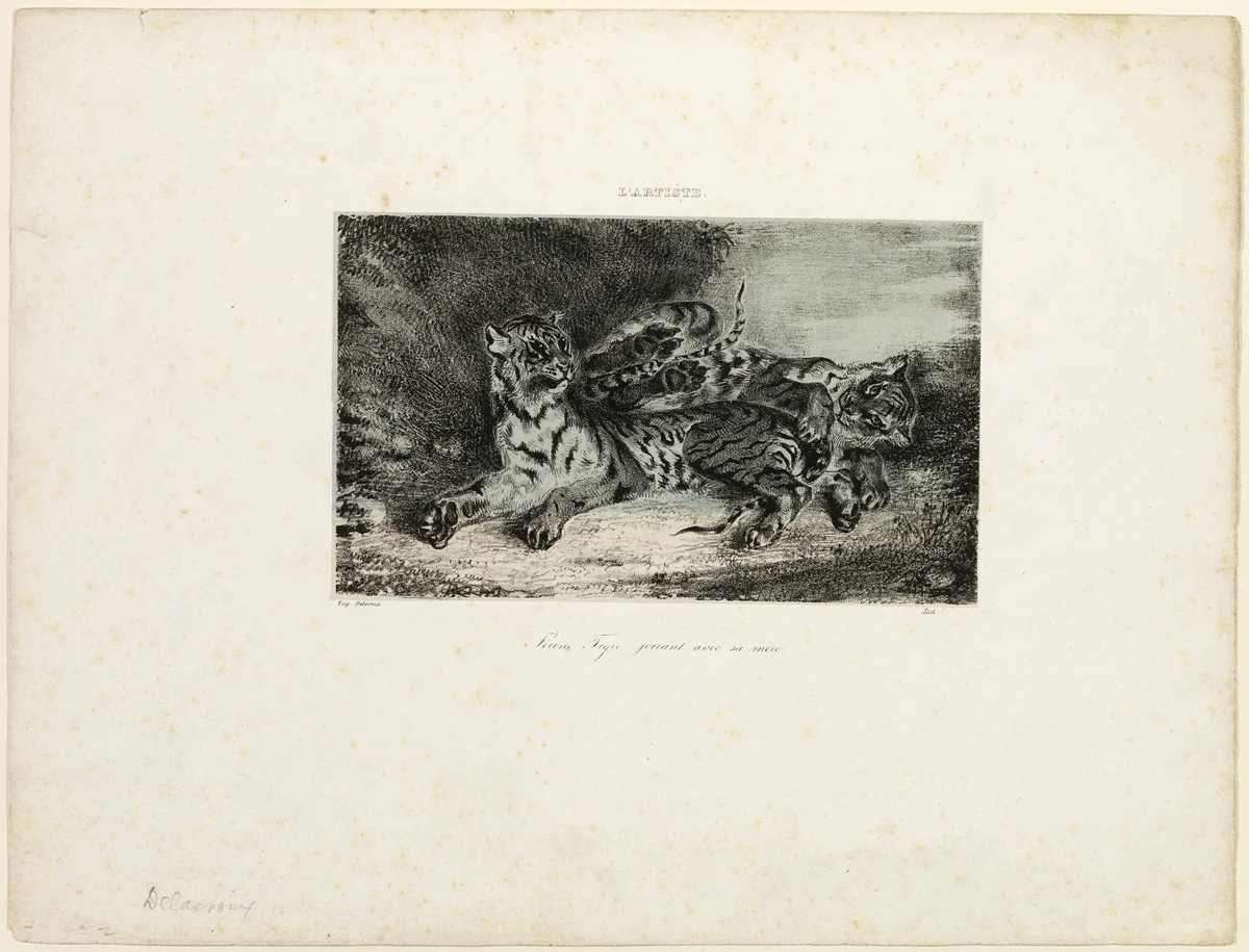 Young Tiger Playing with its Mother by Eugène Delacroix, print, 1831