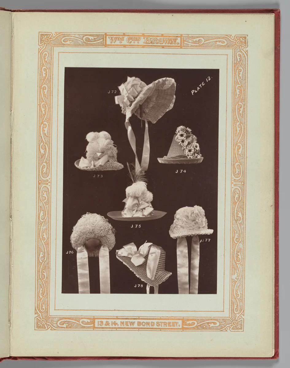 [Hats J72-J78] by William Charles Brown, book, 1888
