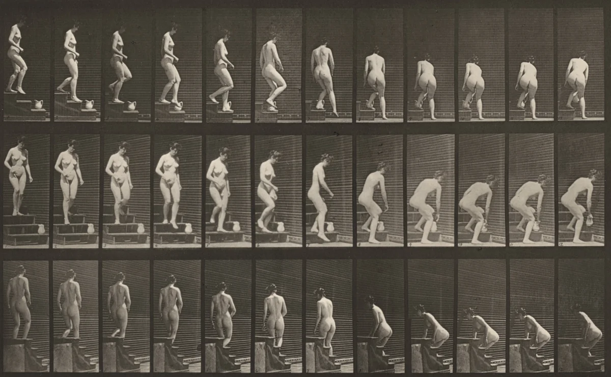 Plate Number 149. Descending stairs and stooping to lift a pitcher by Eadweard Muybridge, photograph, 1887