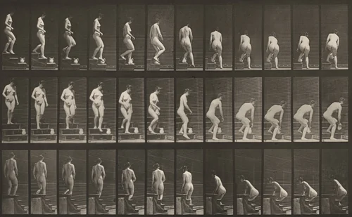 Plate Number 149. Descending stairs and stooping to lift a pitcher by Eadweard Muybridge, photograph, 1887