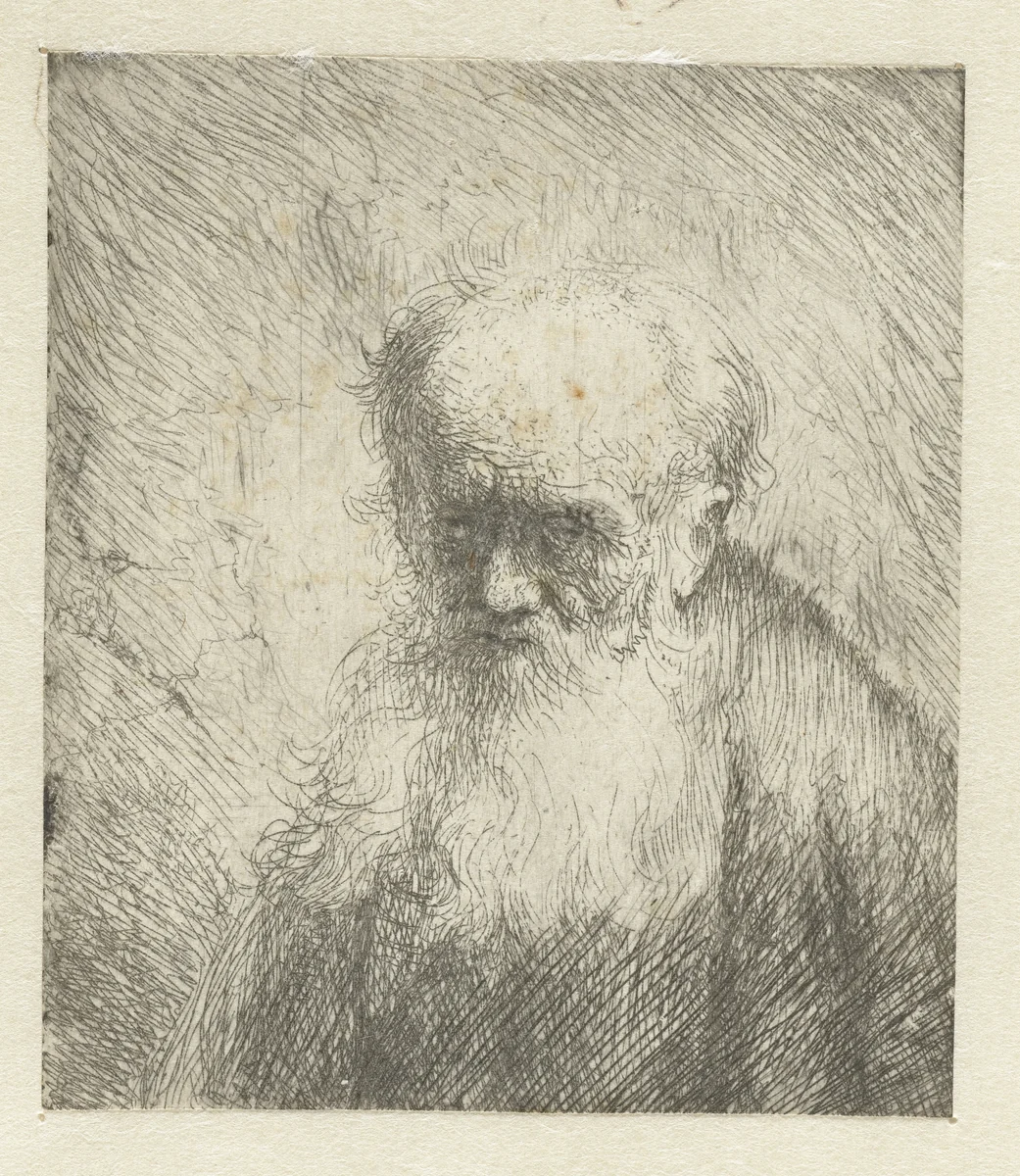 Buste van een oude man met een lange baard by Jan Lievens, print, 1625-1674