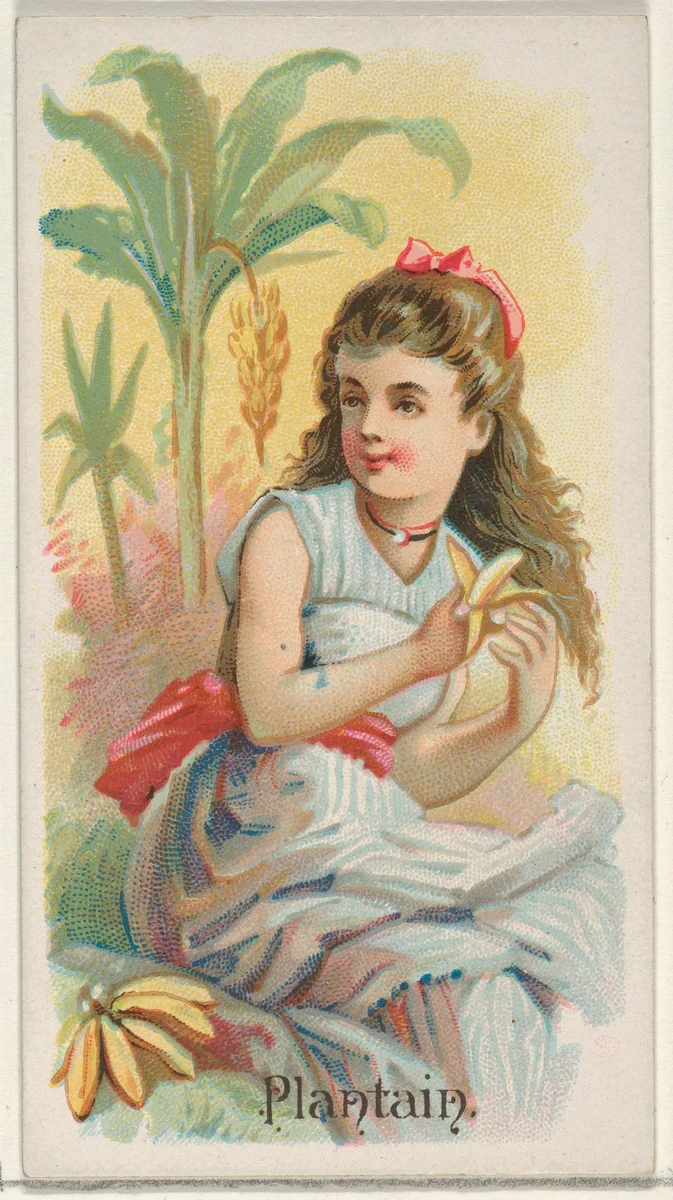 Plantain, from the Fruits series (N12) for Allen & Ginter Cigarettes Brands by Allen & Ginter, print, 1891