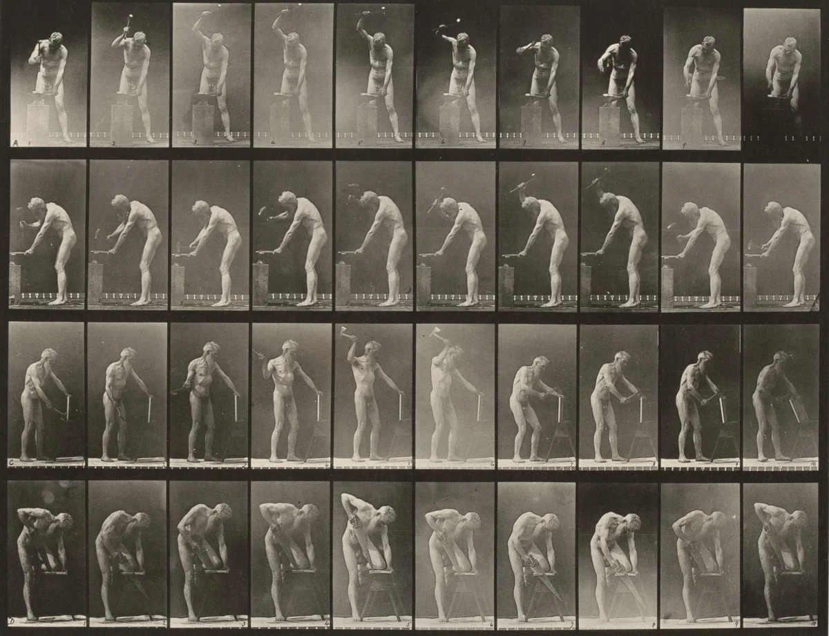 Plate Number 491. A, B: Hammering at an anvil. C: Using a hatchet. D: Sawing a board by Eadweard Muybridge, photograph, 1887