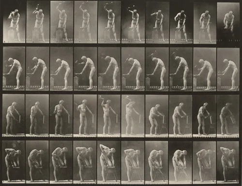 Plate Number 491. A, B: Hammering at an anvil. C: Using a hatchet. D: Sawing a board by Eadweard Muybridge, photograph, 1887