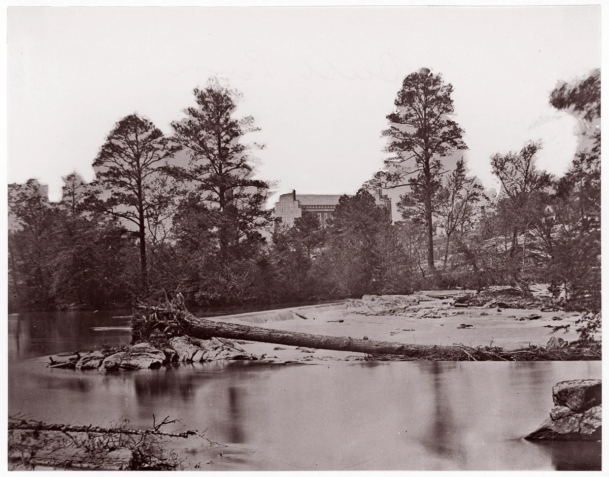 [Fallen Tree, Bull Run, Virginia] by George N. Barnard, photograph, 1861-1862