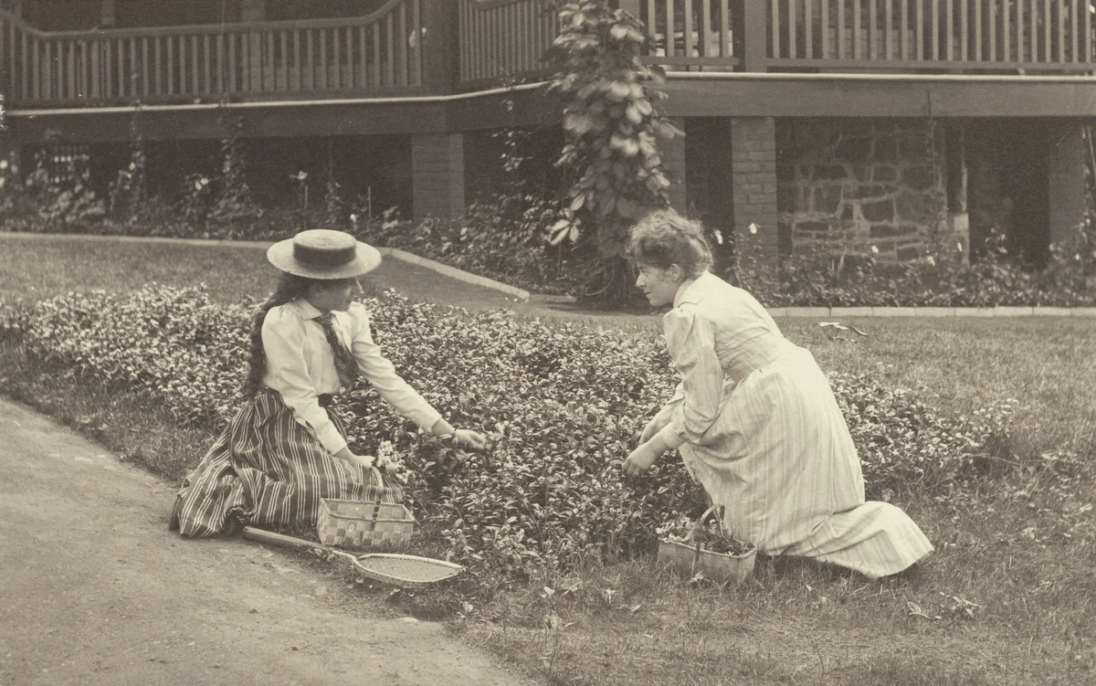 A Flowerbed at Oaklawn by Alfred Stieglitz, photograph, 1893