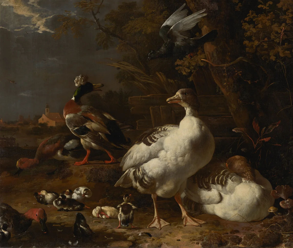 Geese and Ducks by Melchior d' Hondecoeter, painting, 1680