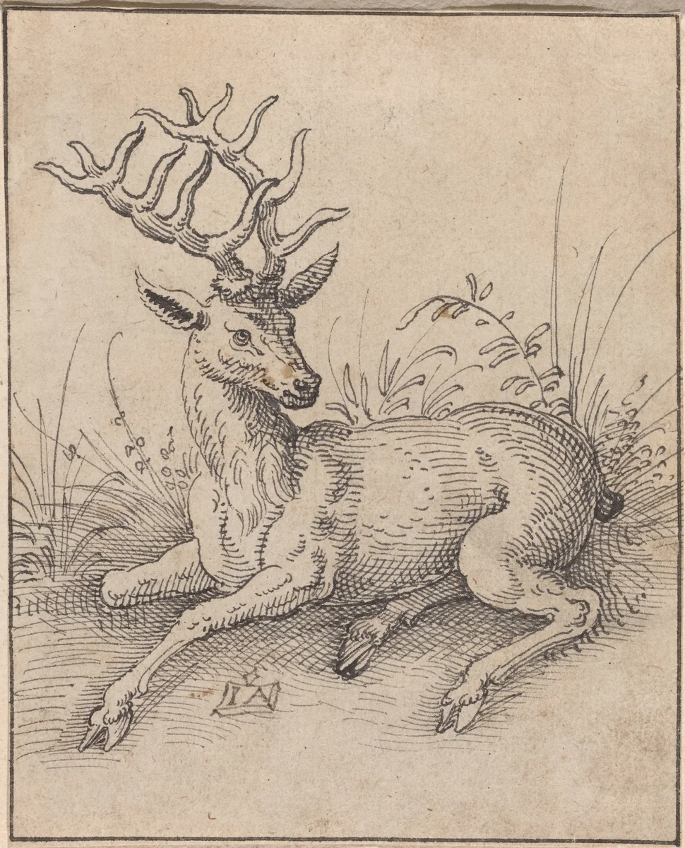 The Stag by Jost Amman, drawing, 1539-1591