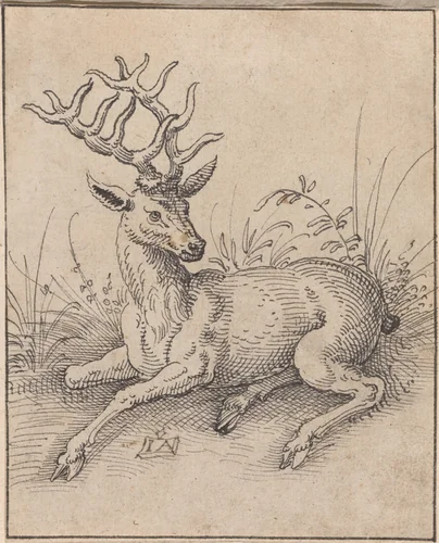 The Stag by Jost Amman, drawing, 1539-1591