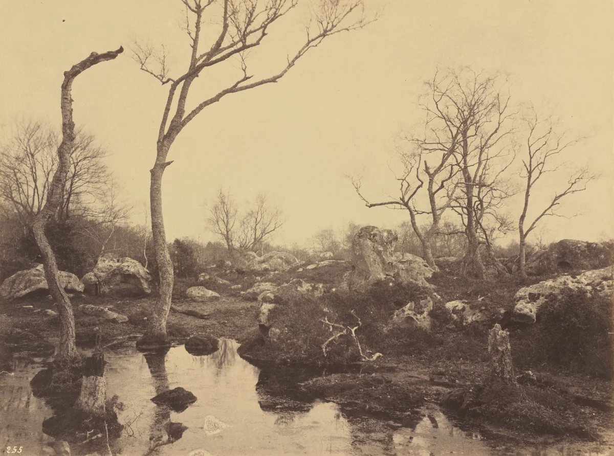 Belle Croix by Eugène Cuvelier, photograph, 1858