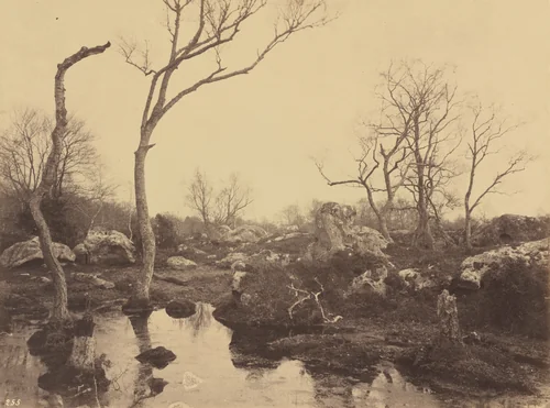 Belle Croix by Eugène Cuvelier, photograph, 1858