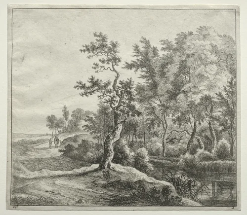 The Serpentine Road by Jan Hackaert, print