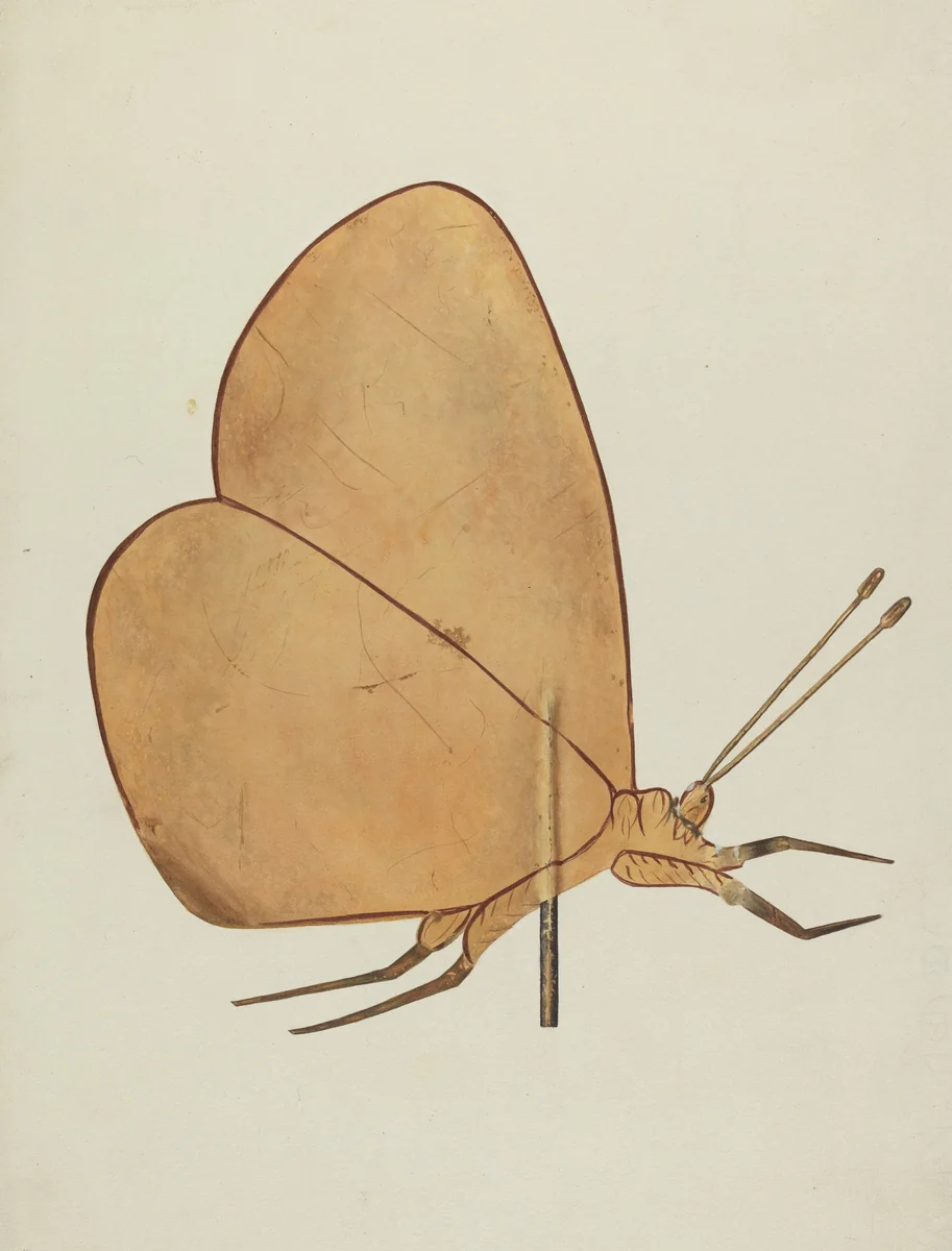 Butterfly Weather Vane by Hazel Hyde, index of american design, 1938